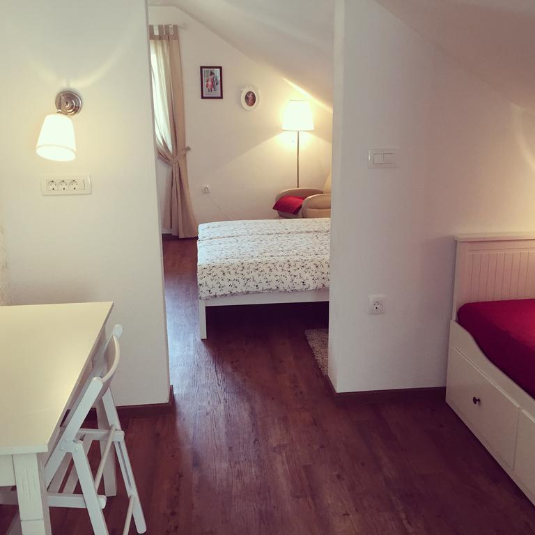 Hotel Samarin Črnomelj Extérieur photo